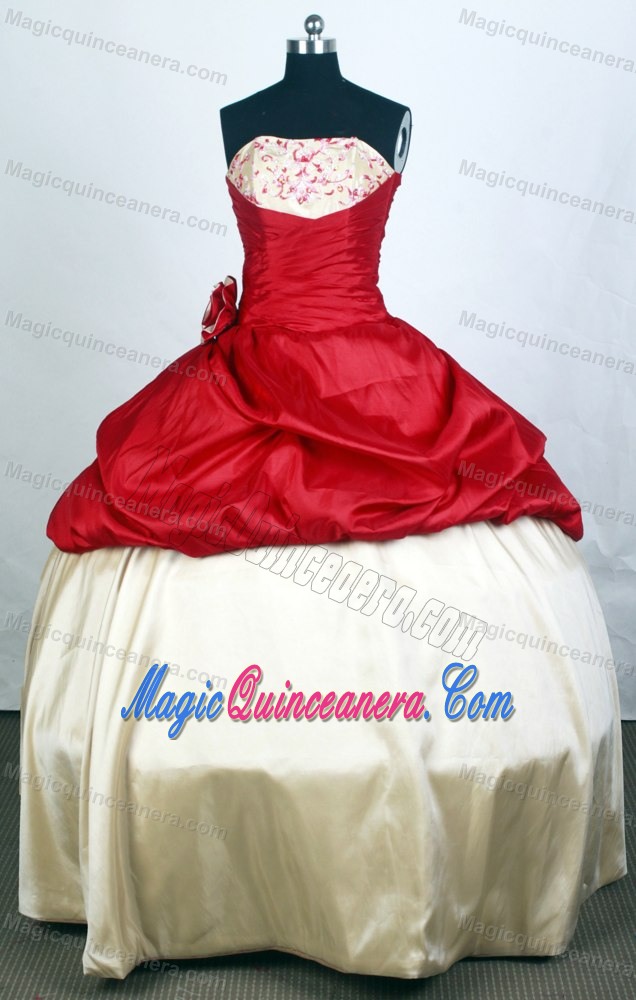 Two-toned 2013 Popular Quinceanera Gown with Hand Flower