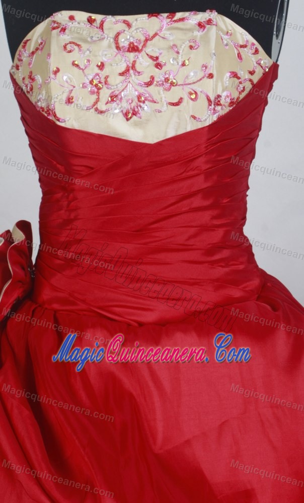 Two-toned 2013 Popular Quinceanera Gown with Hand Flower