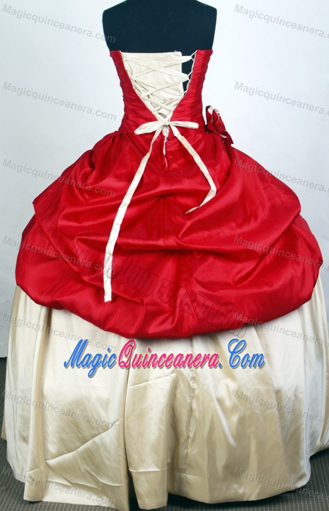 Two-toned 2013 Popular Quinceanera Gown with Hand Flower