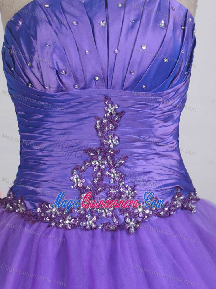 Simple Ruched Bodice 2013 Purple Quinceanera Gown in Alaska