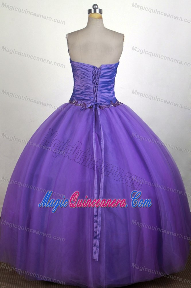 Simple Ruched Bodice 2013 Purple Quinceanera Gown in Alaska