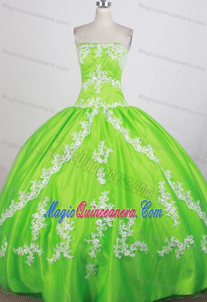 Gorgeous Strapless Spring Green Quinceanera Gown Appliqued