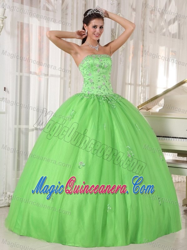 Monterrey Mexico Applique Spring Green Tulle Sweet 15 Dresses