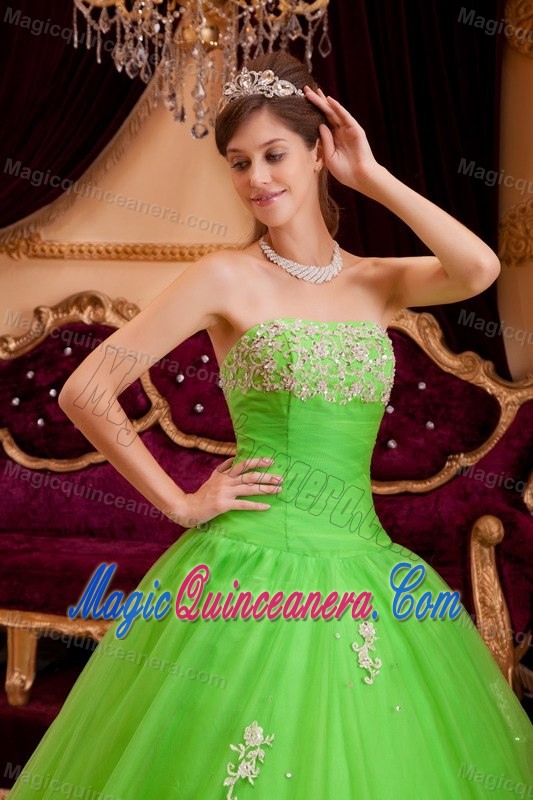Appliqued Strapless Quinceanera Dress in Spring Green for Cheap