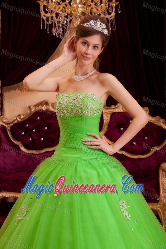 Appliqued Strapless Quinceanera Dress in Spring Green for Cheap