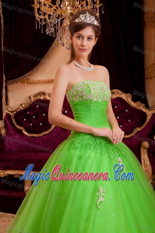 Appliqued Strapless Quinceanera Dress in Spring Green for Cheap