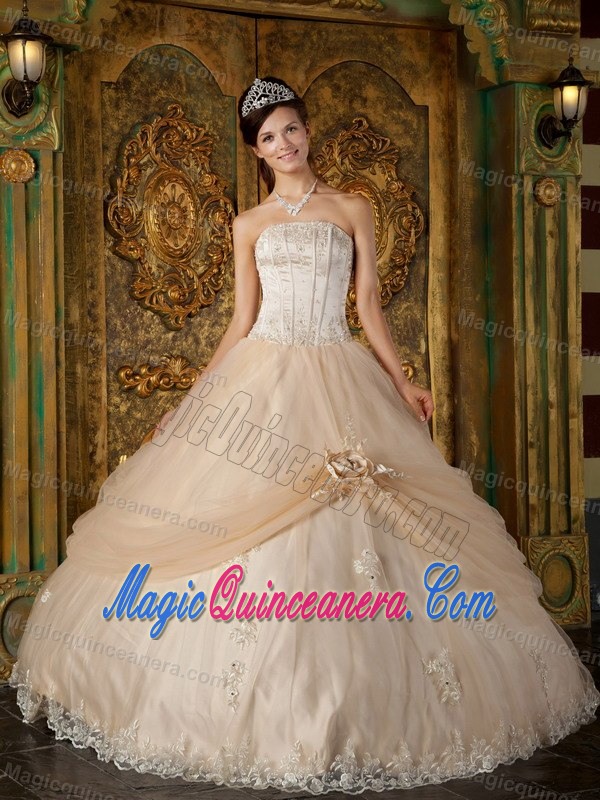 Champagne Tulle Strapless Quinceanera Gown Dress with Appliques