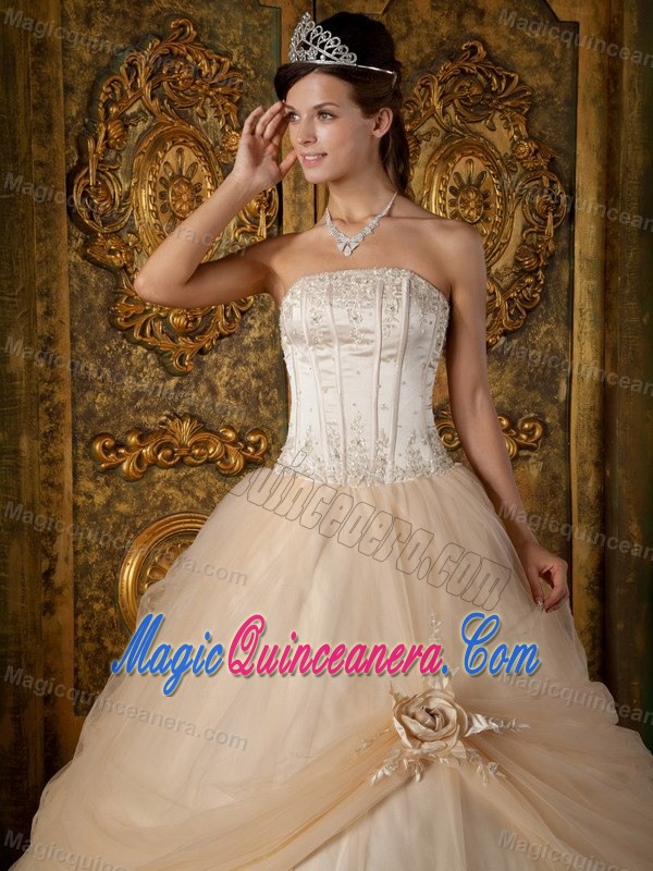 Champagne Tulle Strapless Quinceanera Gown Dress with Appliques