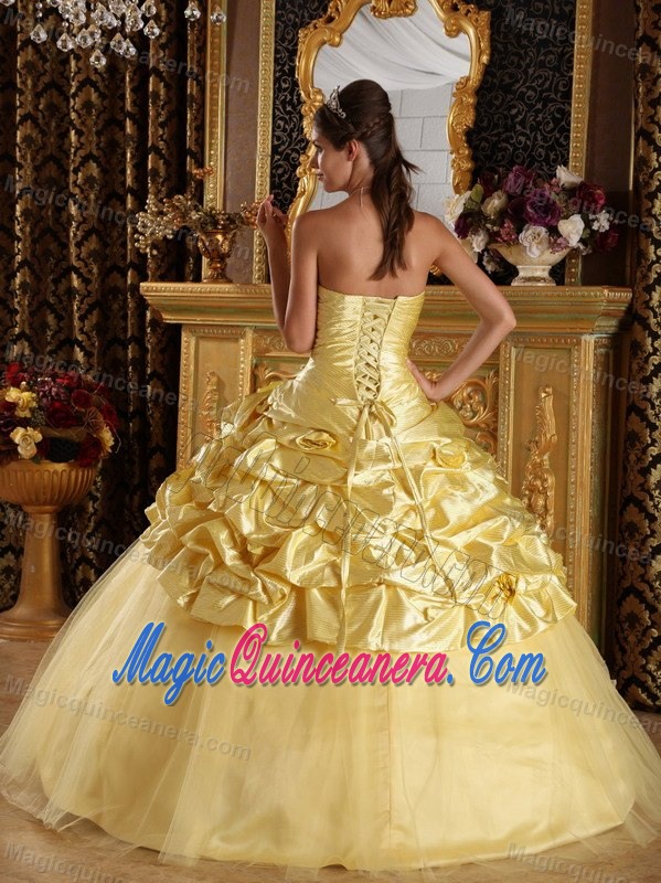 Yellow Beaded Taffeta and Tulle Quinceanera Dresses in Belfast