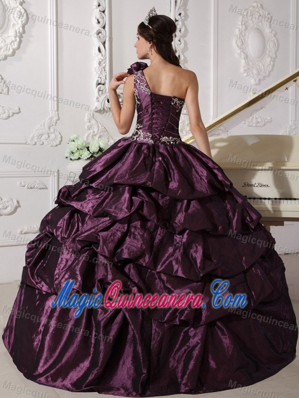 Dark Purple One Shoulder Taffeta Appliques Quince Dress in Auckland