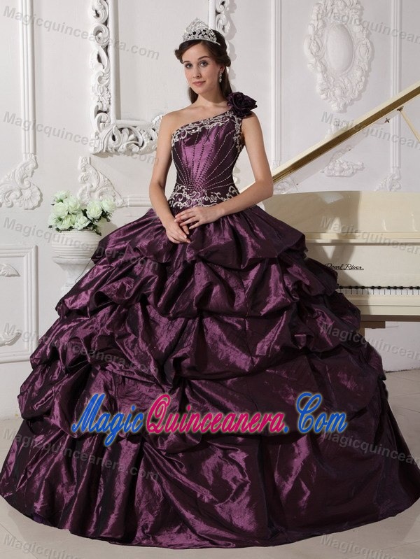 Dark Purple One Shoulder Taffeta Appliques Quince Dress in Auckland