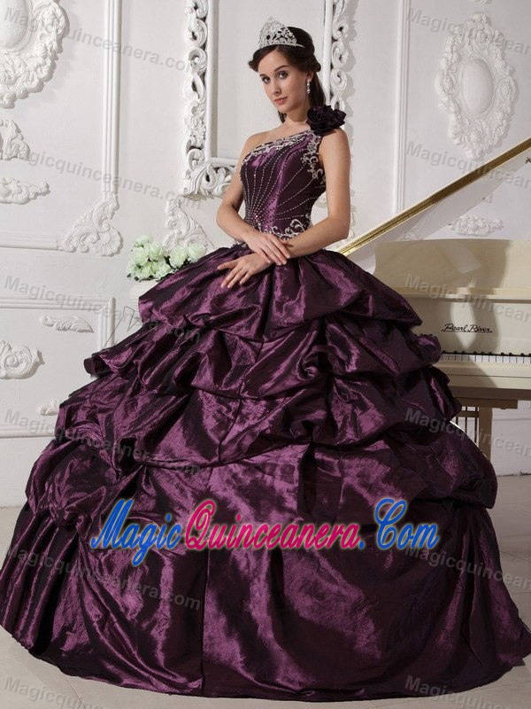 Dark Purple One Shoulder Taffeta Appliques Quince Dress in Auckland