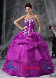 Sweet Ball Gown Sweetheart Organza Appliques Quinceanera Dress