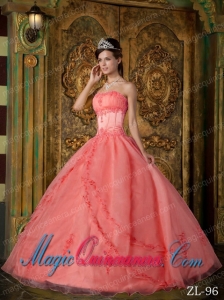 A Watermelon Ball Gown Strapless With Appliques Organza Classic Quinceanera Gowns