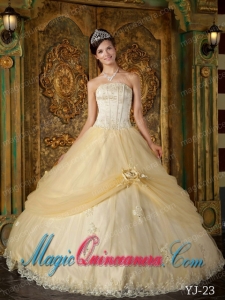 Champagne Ball Gown Strapless Floor-length Appliques Tulle Cute Quinceanera Dress