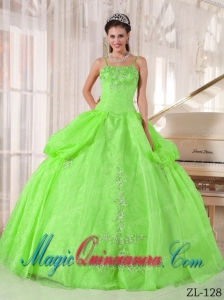 Cheap Spring Green Ball Gown Spaghetti Straps Taffeta and Organza Quinceanera Dress with Appliques