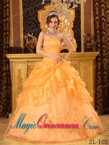 Orange Ball Gown Strapless Floor-length Organza Appliques Best Quinceanera Dress