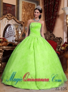 Yellow Green Ball Gown Strapless Floor-length Organza Appliques Cute Quinceanera Dress