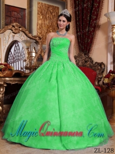 Green Cheap Ball Gown Strapless Organza Quinceanera Dress with Appliques