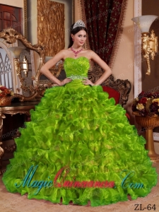 Discount Quinceanera Dresses In Spring Green Ball Gown Sweetheart Floor-length Organza Beading