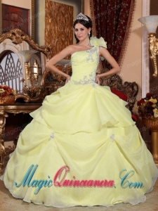 Gorgeous Light Yellow One Shoulder Ball Gown Organza Appliques Quinceanera Dress