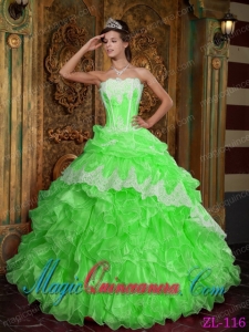 Spring Green Ball Gown Strapless Gorgeous Organza Quinceanera Dress with Ruffles