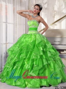 Strapless Ball Gown Organza Appliques Elegant Quinceanera Dress