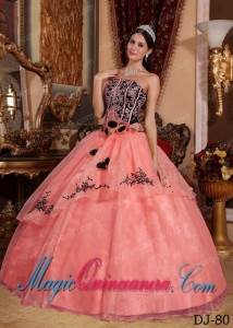 Strapless Gorgeous Organza Embroidery Quinceanera Dress in Watermelon and Black