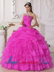 Strapless Pink Ball Gown Gorgeous Organza Appliques Quinceanera Dress