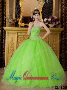 Strapless Spring Green Ball Gown Gorgeous Organza Quinceanera Dress with Beading