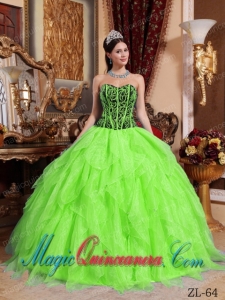 Sweetheart Embroidery with Beading Fashion Quinceanera Dress in Spring Green and Black