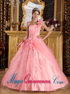 Watermelon Ball Gown One Shoulder Elegant Appliques Tulle Quinceanera Dress