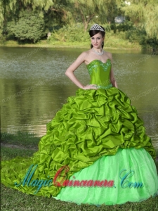 Appliques and Pick-ups Spring Green Brush Train Exquisite Style For 2013 Fashion Quinceanera Dress