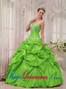 Ball Gown Sweetheart Floor-length Taffeta Appliques Fashion Quinceanera Dress in Spring Green