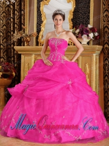 Hot Pink Ball Gown Strapless Floor-length Organza Appliques New style Quinceanera Dress