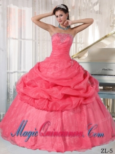 Watermelon Ball Gown Strapless Organza Appliques Perfect Quinceanera Dresses