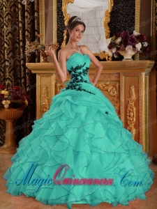 Ball Gown Sweetheart Floor-length Organza Appliques Pretty Quinceanera Dress in Turquoise