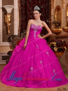 Fuchsia Ball Gown Sweetheart Floor-length Organza Appliques New style Quinceanera Dress