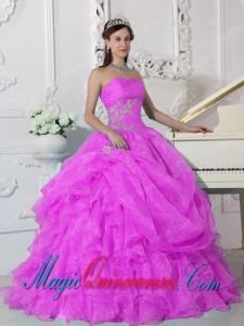 Hot Pink Ball Gown Strapless Floor-length Organza Beading New style Quinceanera Dress