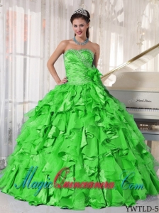 Modest Spring Green Ball Gown Sweetheart Floor-length Organza Beading Sweet 15 Dresses