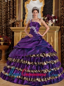 Appliqued Dark Purple Ball Gown One Shoulder Taffeta and Leopard Pretty Quinceanera Dress