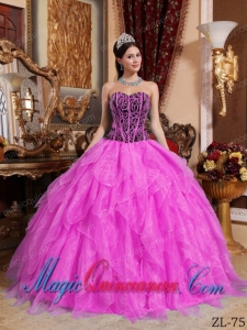 Sweetheart Embroidery with Beading Romantic Sweet 15 Dresses in Hot Pink and Black