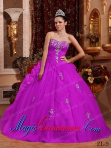 Fuchsia Ball Gown Sweetheart Floor-length Organza Appliques Spring Quinceanera Dress