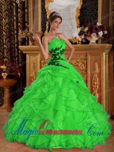 Green Ball Gown Sweetheart Floor-length Organza Appliques Spring Quinceanera Dress
