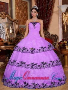 Lavender Ball Gown Strapless Floor-length Organza Lace Appliques Spring Quinceanera Dress