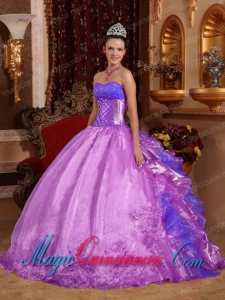 Purple Ball Gown Strapless Floor-length Organza Embroidery Spring Quinceanera Dress