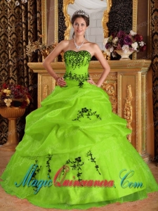 Yellow Green Ball Gown Sweetheart Floor-length Satin and Organza Embroidery Spring Quinceanera Dress