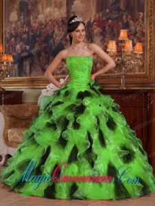 Green and Black Ball Gown Strapless Floor-length Organza Quinceanera Dress