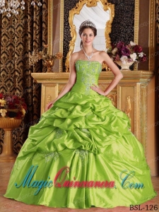 Spring Green Pick-ups Ball Gown Strapless Vintage Taffeta Quinceanera Dress