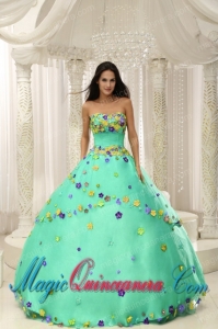 Apple Green Ball Gown 2013 Quninceaera Gown For Custom Made Appliques Decorate Bodice Popular Quinceanera Dresses